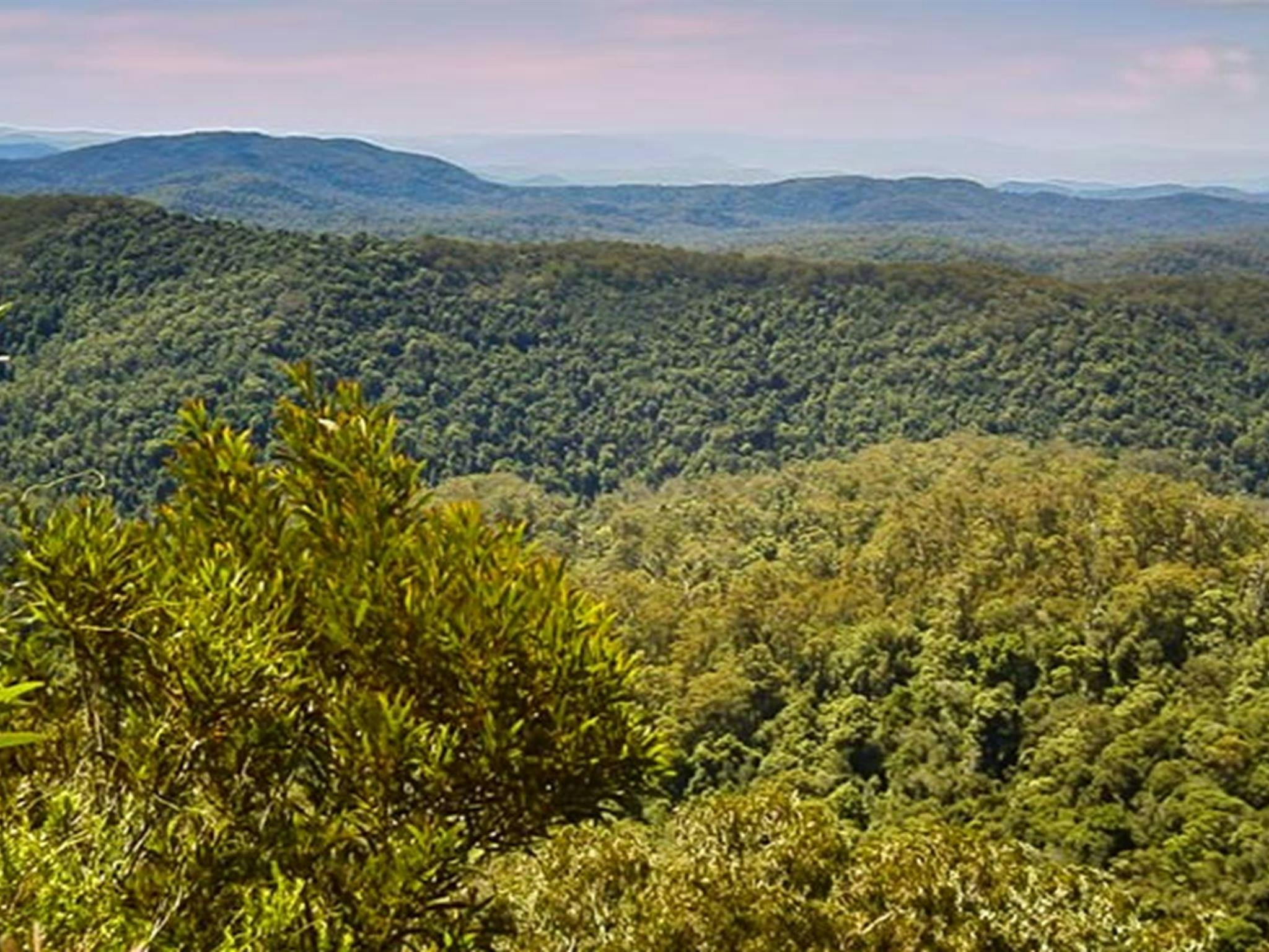 Rowleys Rock lookout, Tapin Tops National Park. Photo: Kevin Carter/NSW Government