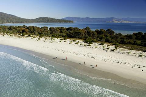 The Maria Island Walk Tour: Four Day Guided Walk