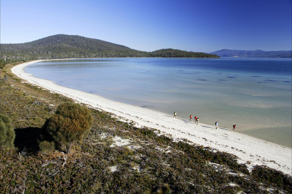 The Maria Island Walk Tour: Four Day Guided Walk