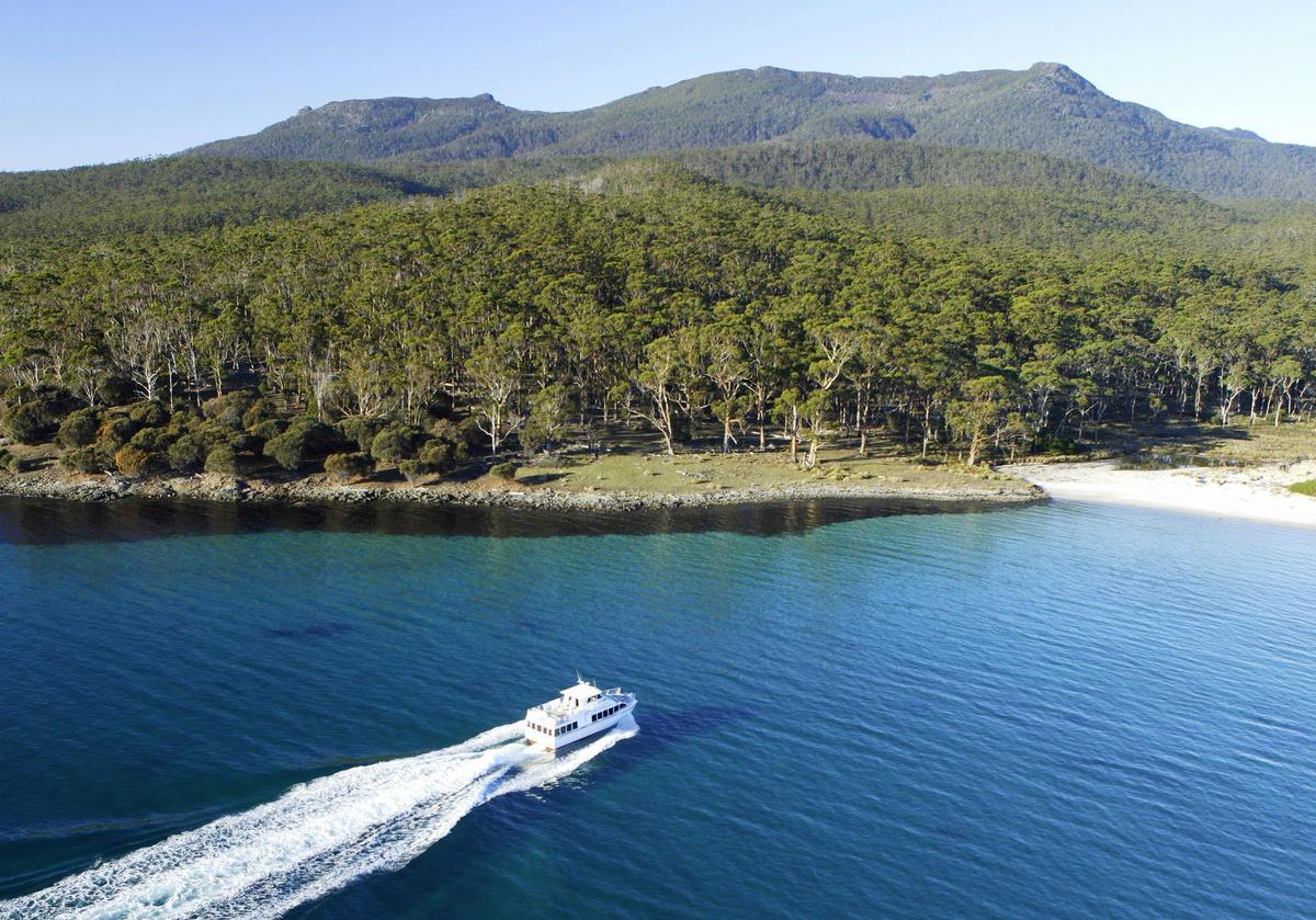 The Maria Island Walk Tour: Four Day Guided Walk
