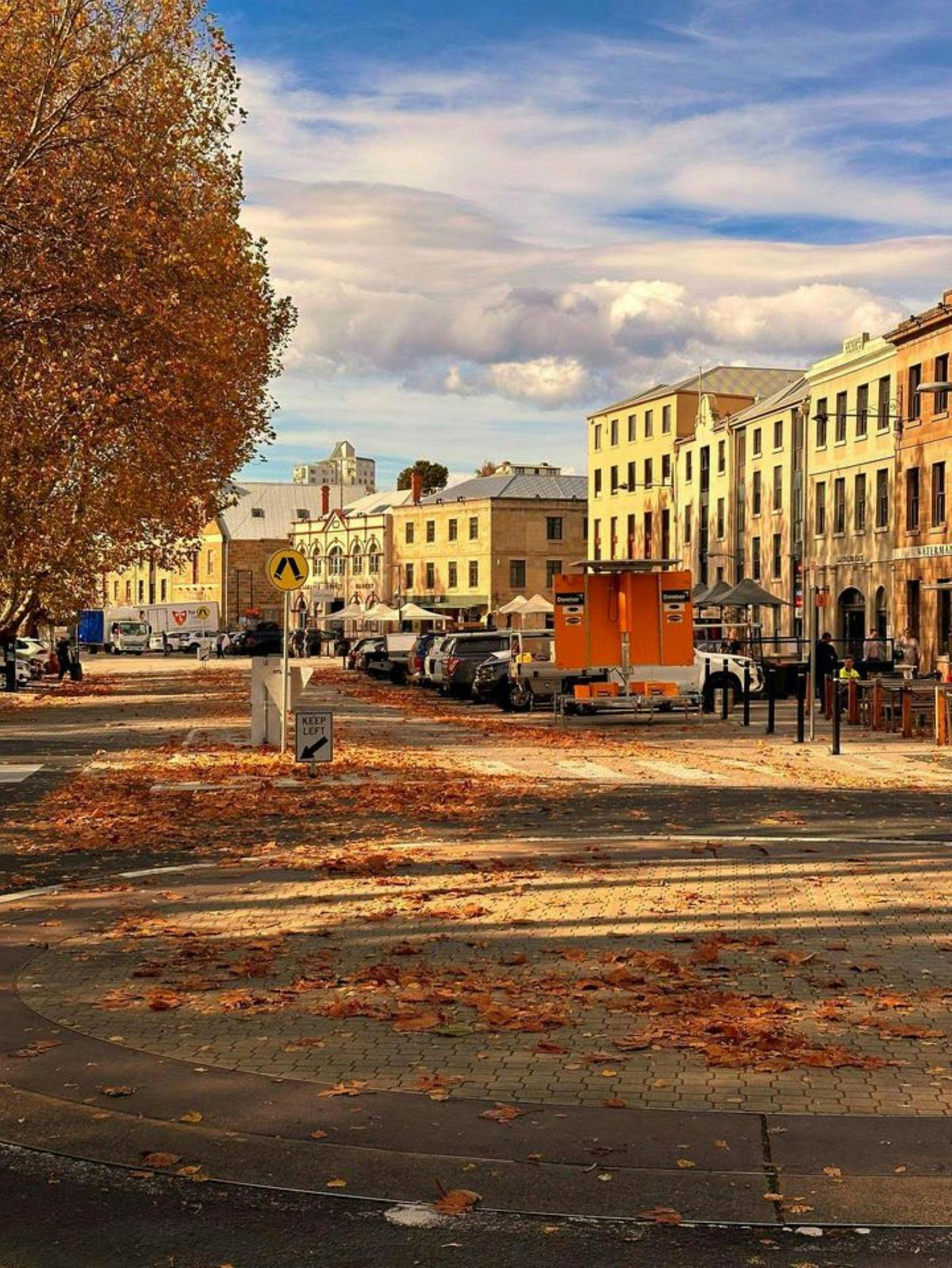 Shore Excursion - Hobart Highlights Day Tour