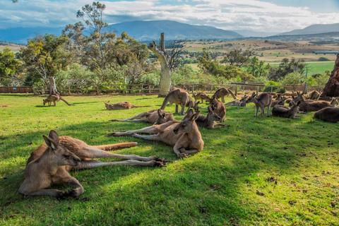 3 Day Tasmanian highlights Tour – Hobart, Port Arthur and Bruny Island