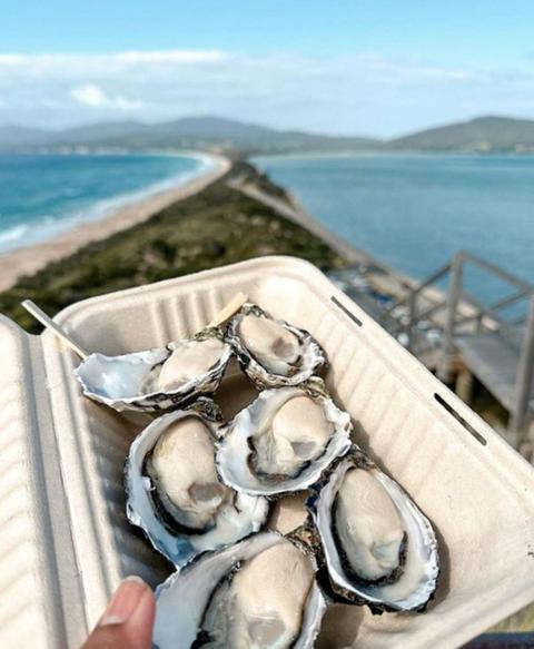 2 Day Tasmanian Highlights Tour - Bruny Island & Port Arthur