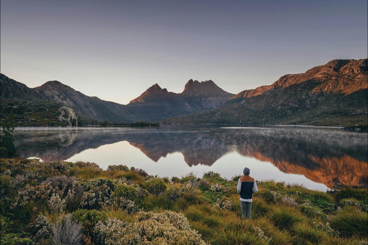 Shore Excursion - Cradle Mountain Day tour