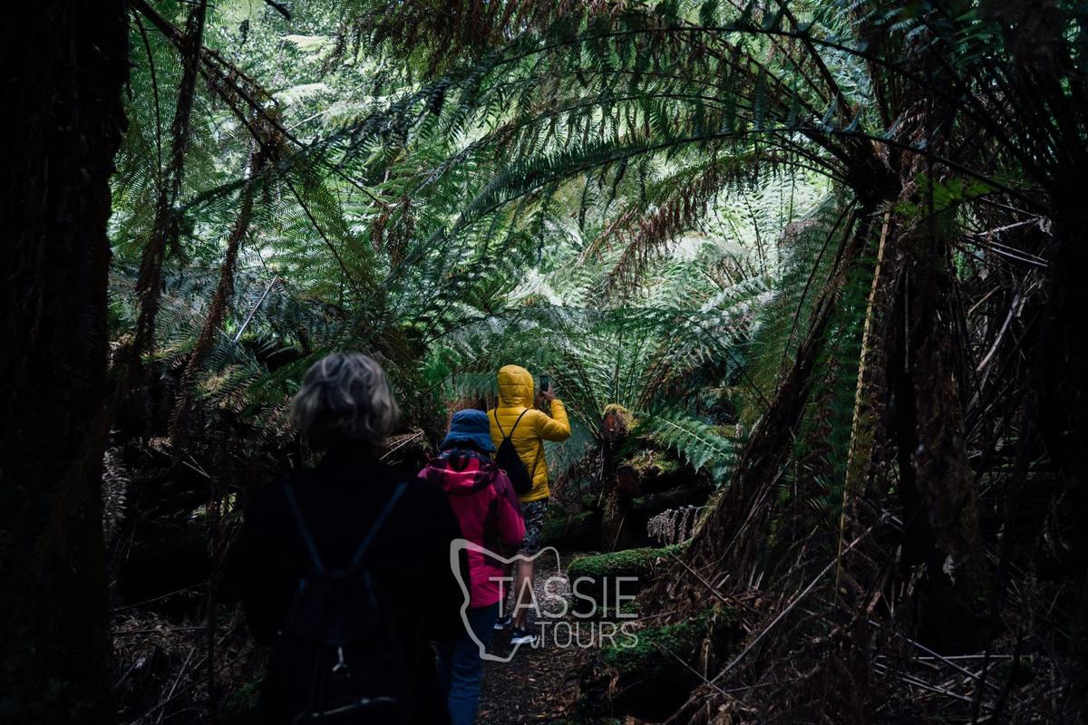 5 Day Island Icons Day Tour Bundle - Cradle Mountain, Wineglass Bay, Port Arthur, Bruny Island, and