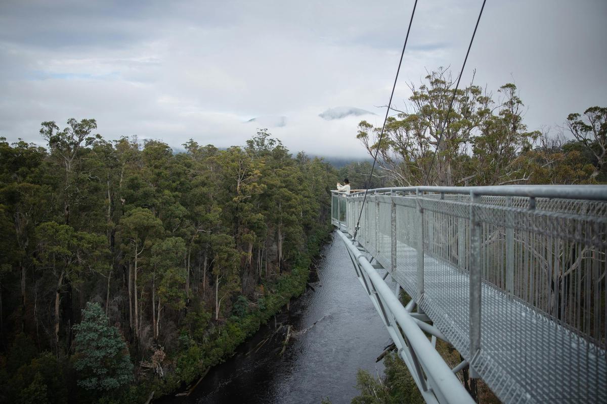 4 Day Tasmanian Highlights Bundle - Hobart, Port Arthur, Bruny Island, Hastings and Tahune