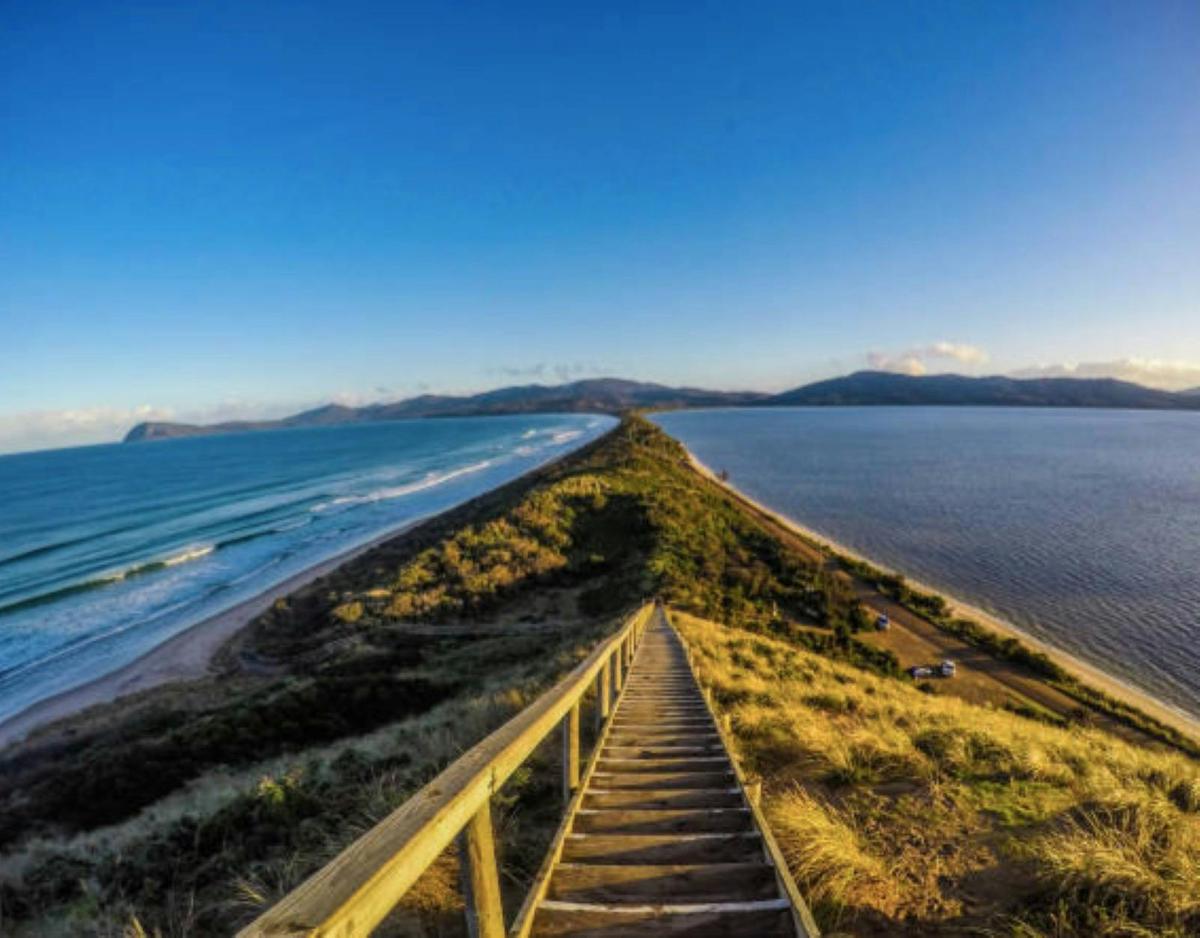 Shore Excursion - Bruny Island day tour