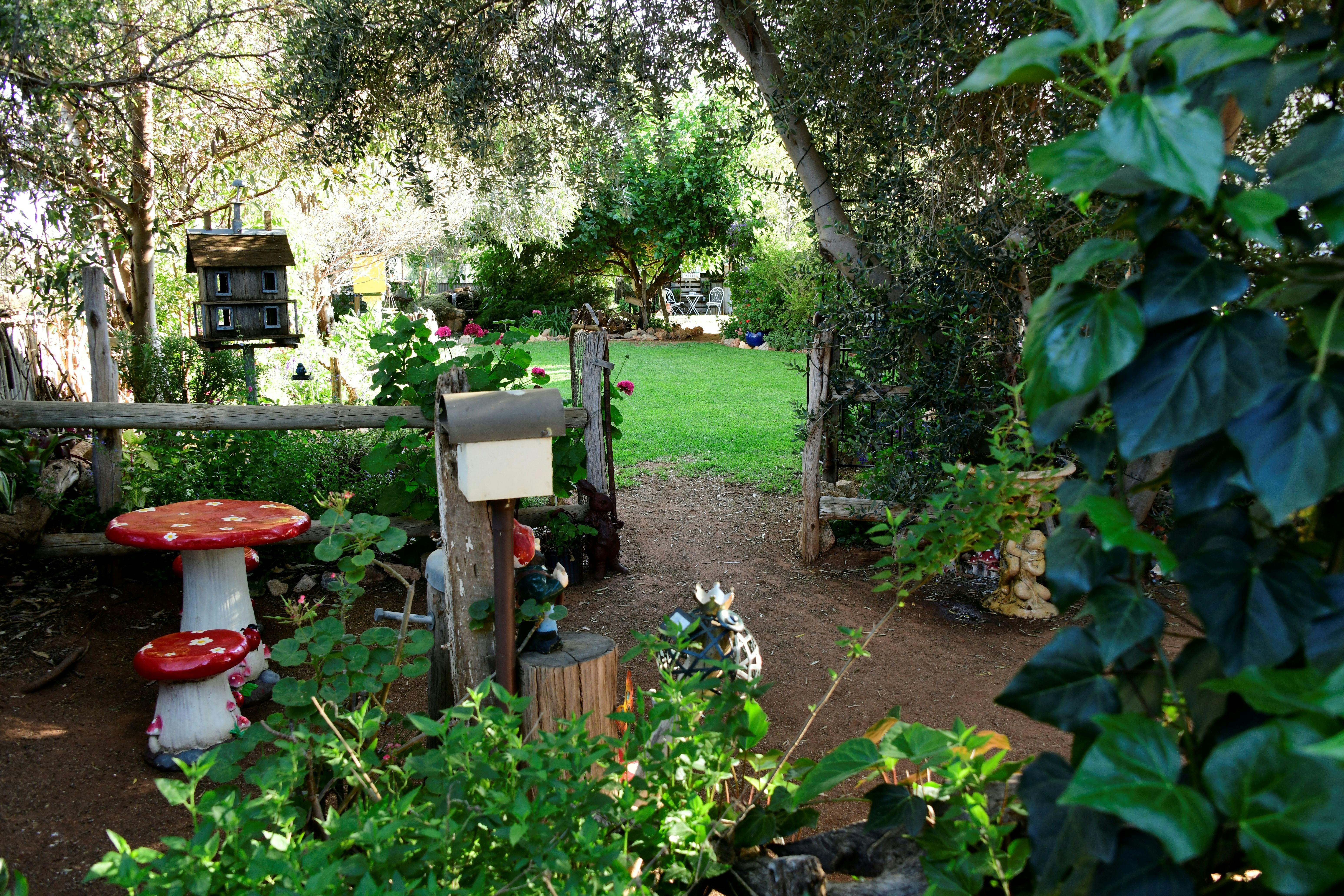 Part of the Fairy Garden