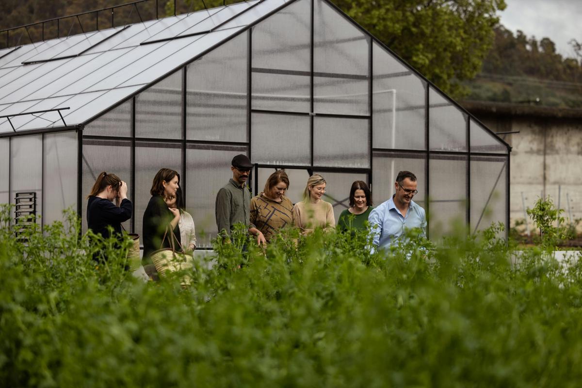 Greenhouse in garden tour