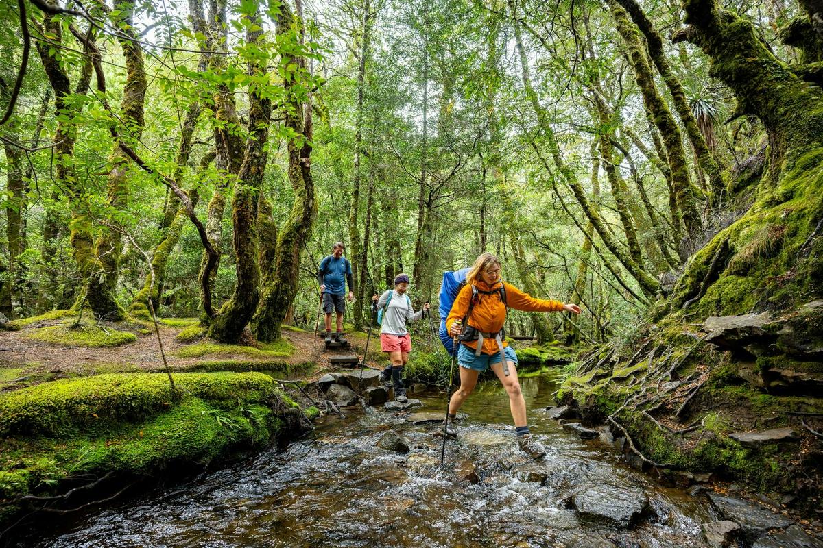 Cradle Mountain Signature Walk