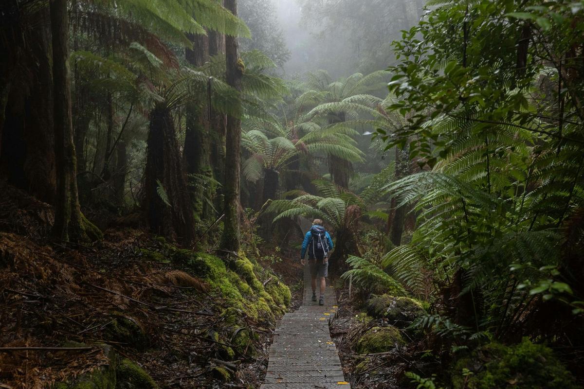 Three Capes Adventure Walk