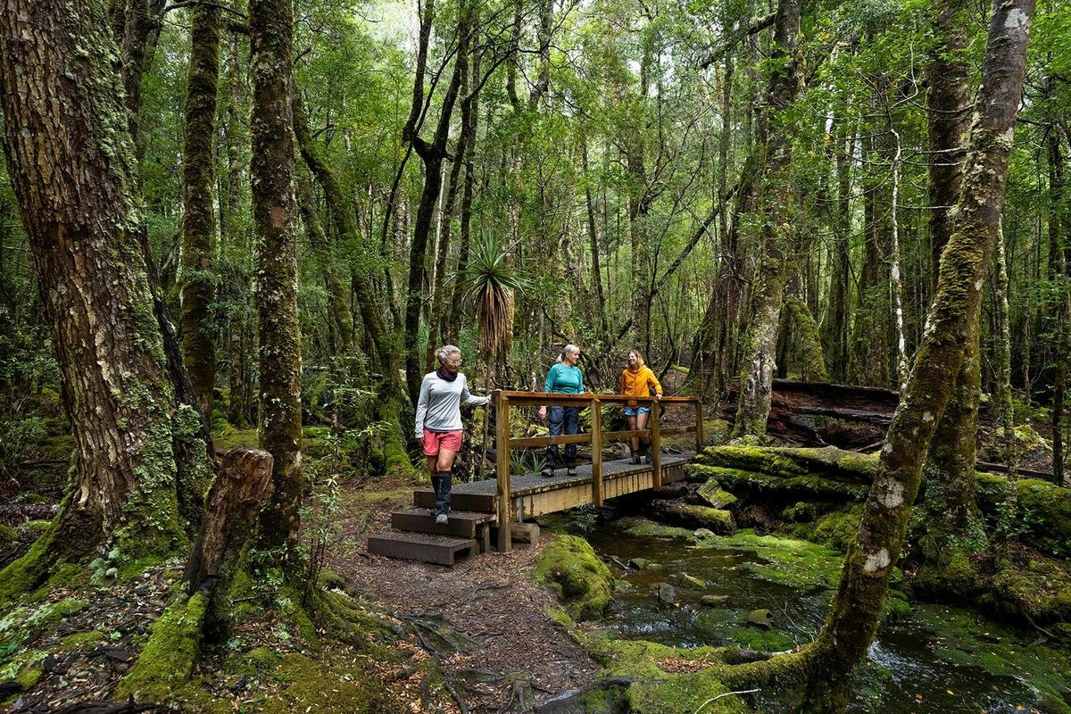 Cradle Mountain Signature Walk