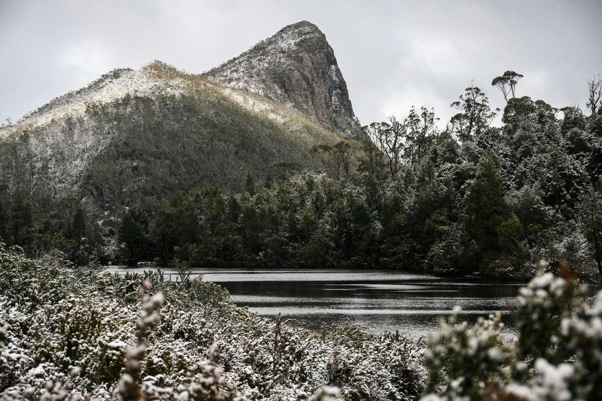 Cradle Mountain Expedition Walk