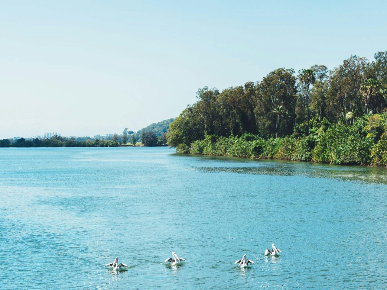 Rous River On a Sunny Day