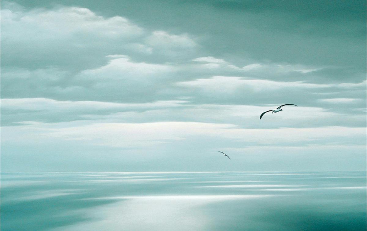 Albatross over Bass Strait. Oil painting by Richard Stanley. ( Award Winner )