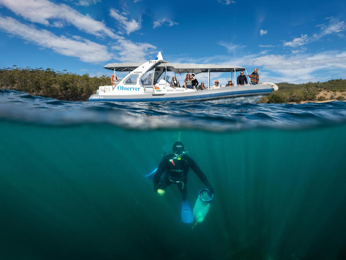 Diver Reality Experience