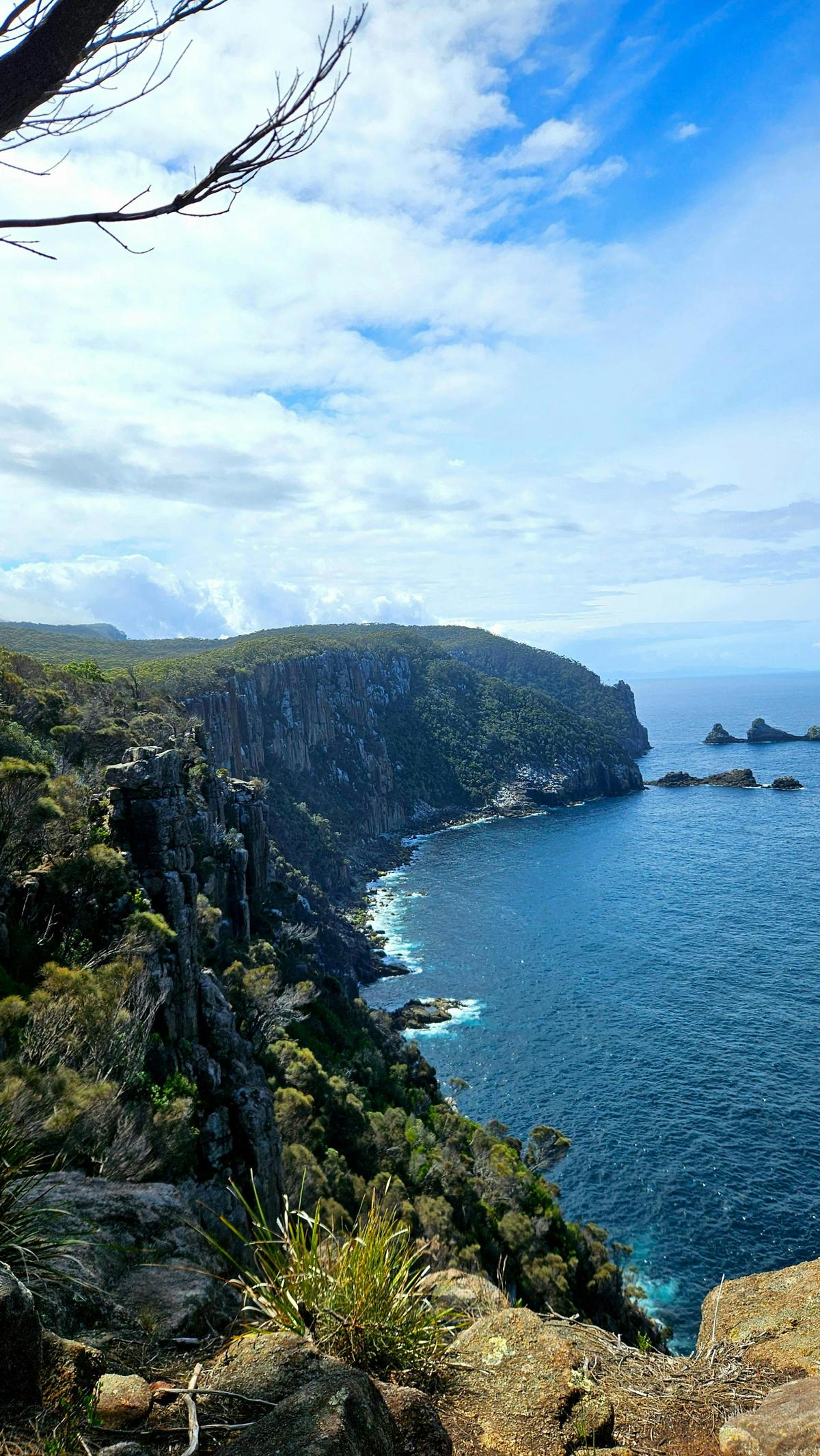 Endless ocean views and rugged cliffs define the Three Capes Walk Tasmania experience