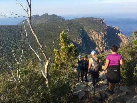Three Capes Pack Free Walk