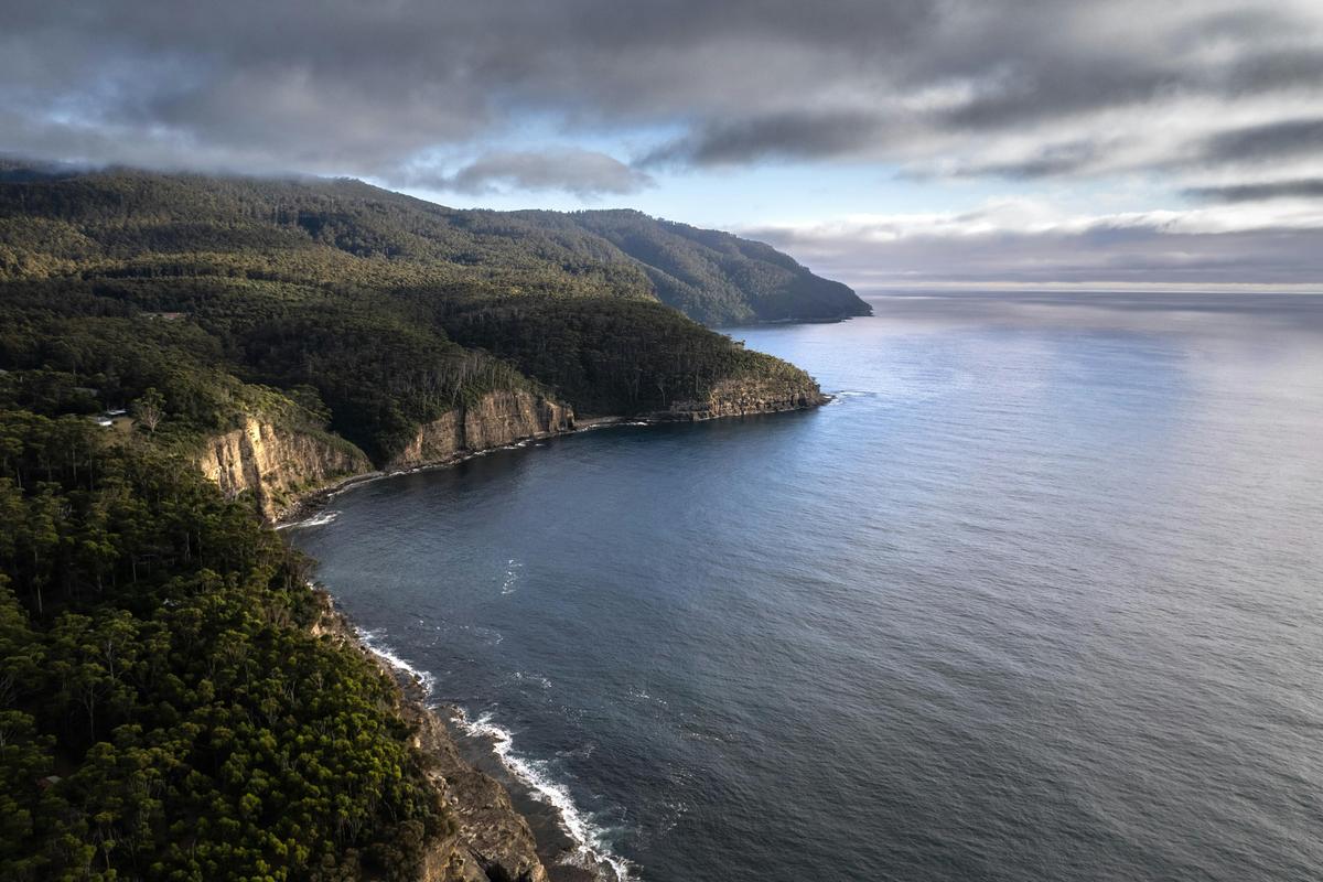 The Stand Alone sits quietly on a private headland where forest meets sea