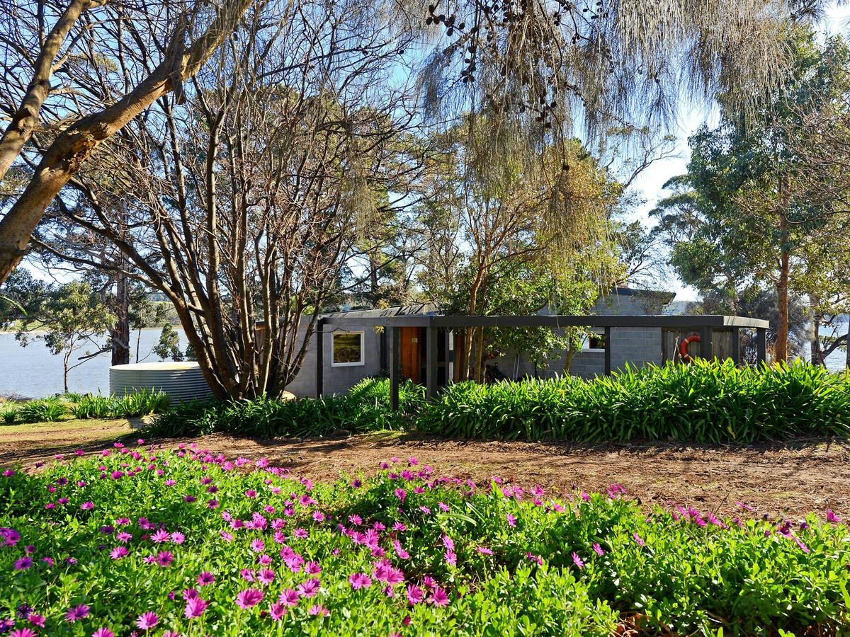 Taylors Bay Cottage: view over flowers towards the cottage and bay.