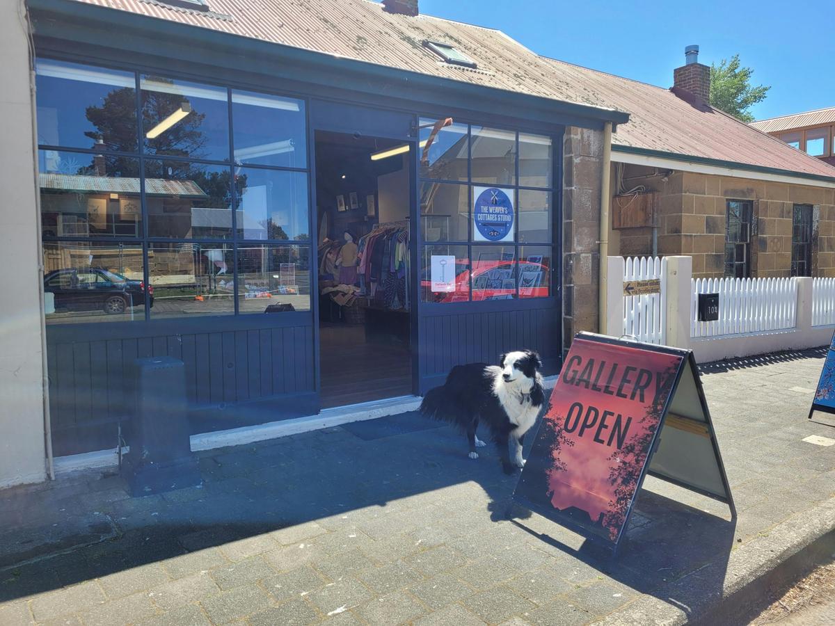 Oskar the shopdog welcomes visitors to the Georgian cottage and contemporary art open studio.