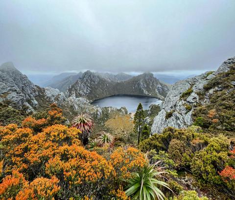 Wild Tasmania Tours