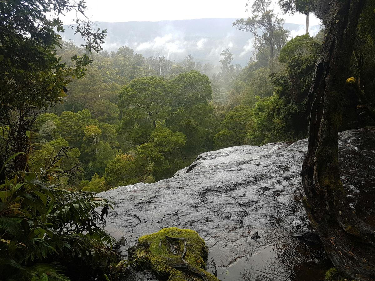 2 Day Cradle Mountain Tour