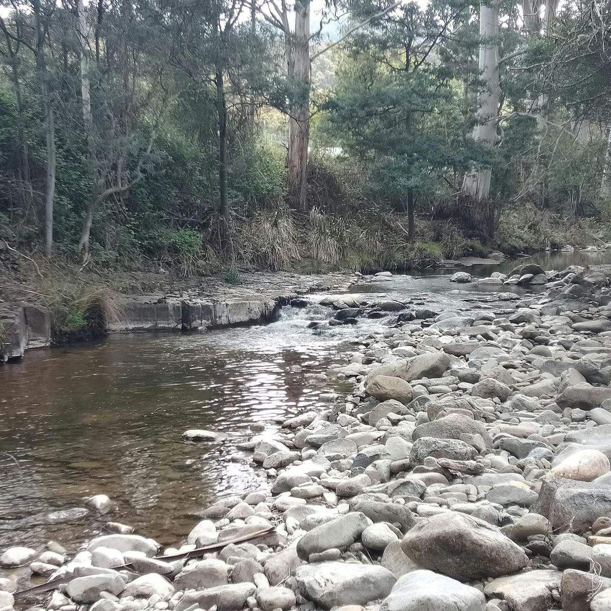 Crabtree Rivulet