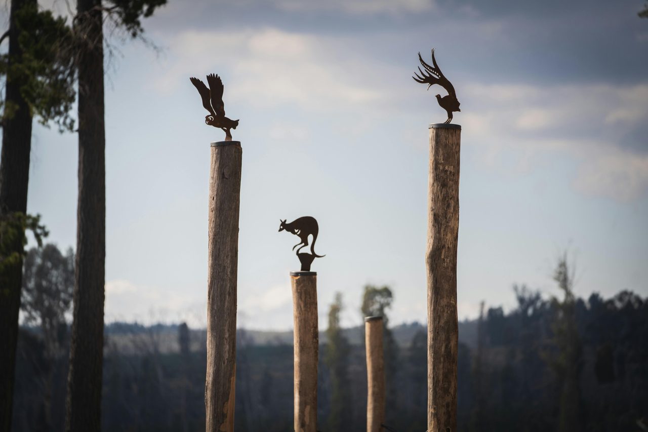 Sugar Pines sculptural elements