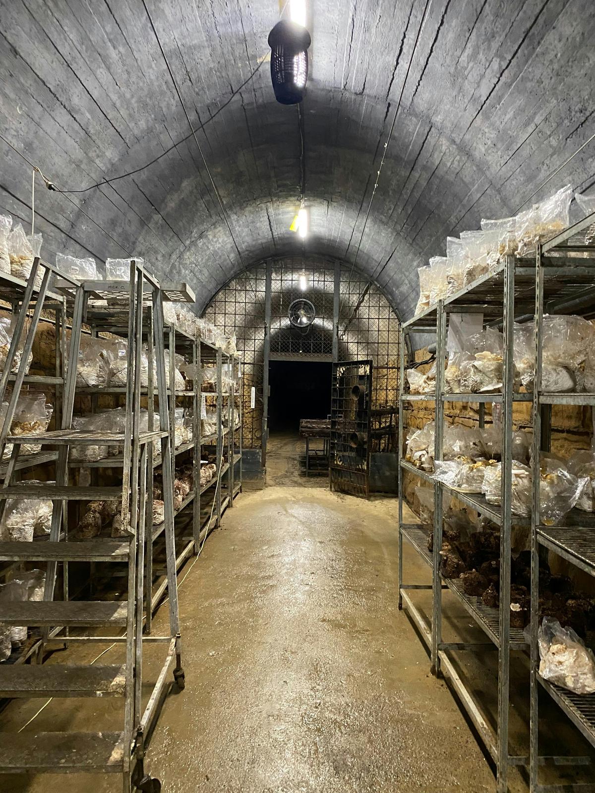 The Tunnel