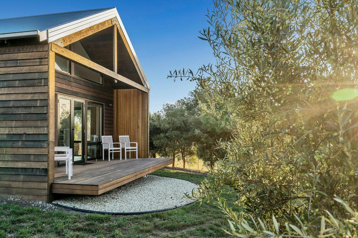 Front deck, looking through the Olive Grove