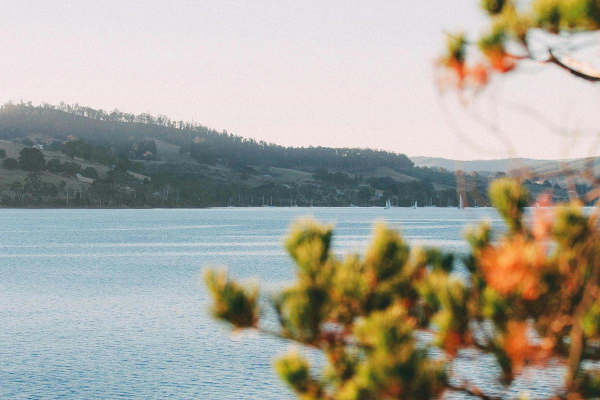 View | Tranquil Point Homestead
