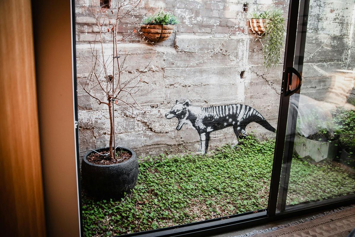 The courtyard off the bedroom