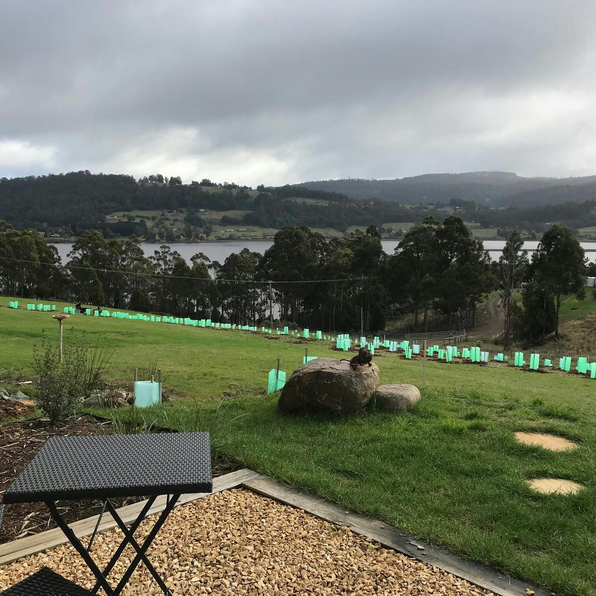 View of the Huon river