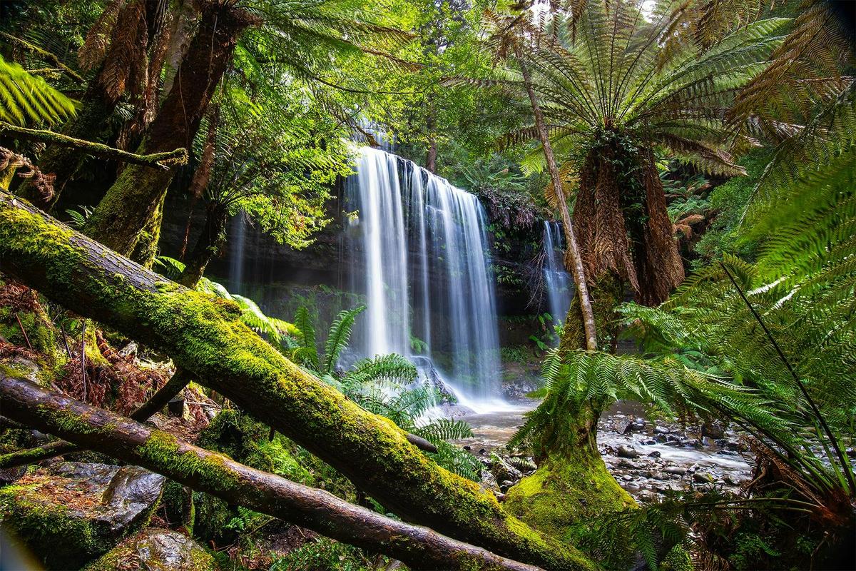 Russell Falls