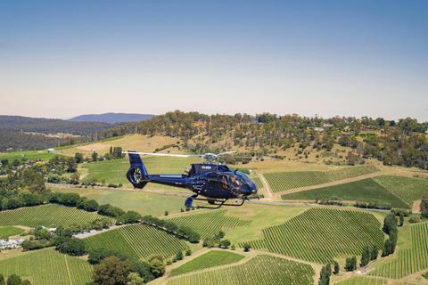 Launceston Vineyard Trifecta