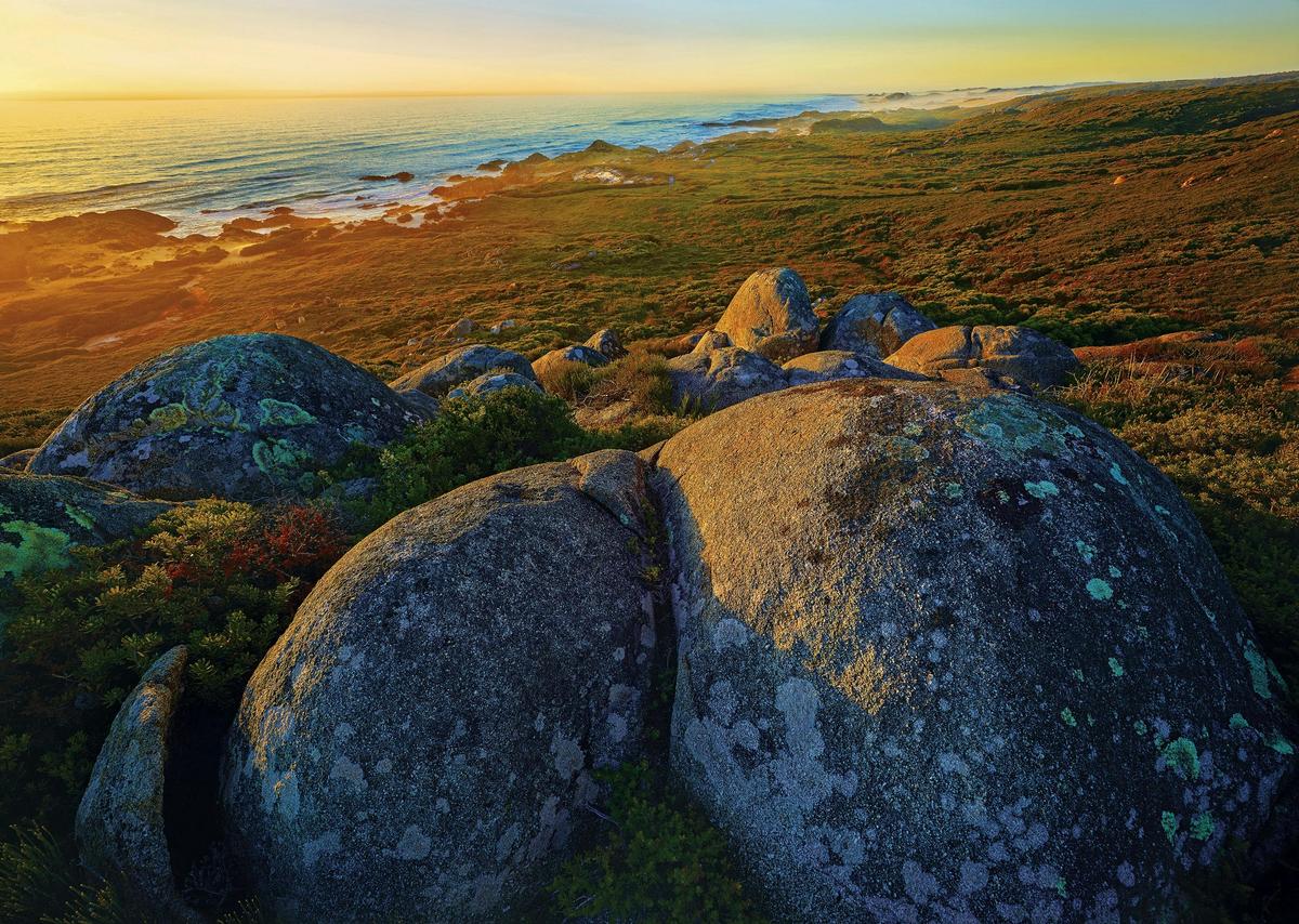 Tarkine Coast Expedition
