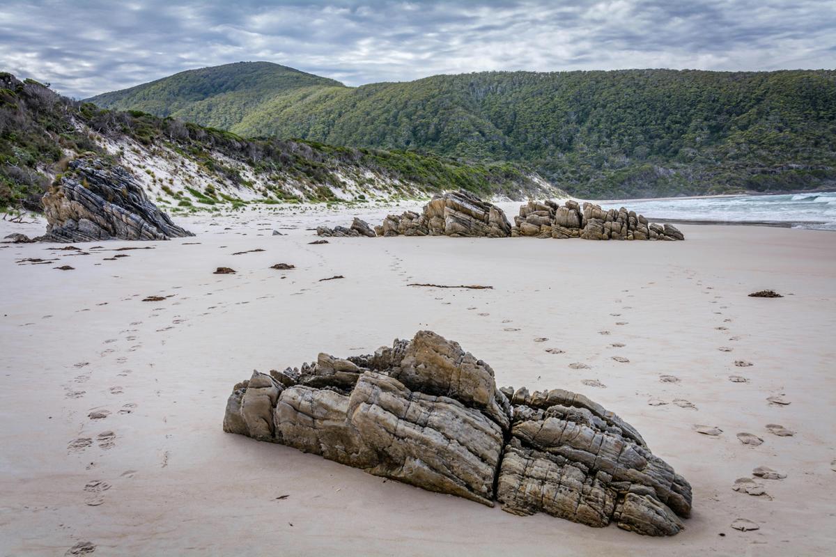 South Coast Track Walking Tour