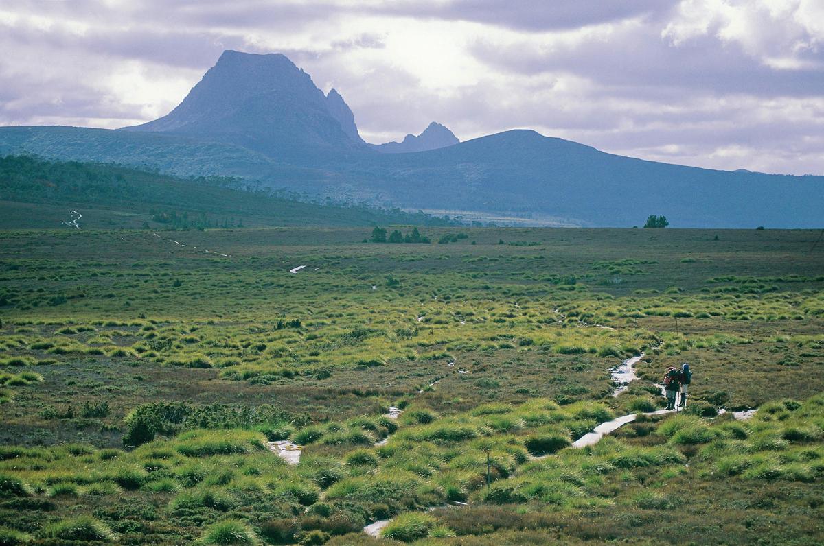 Overland Track Walking Tours