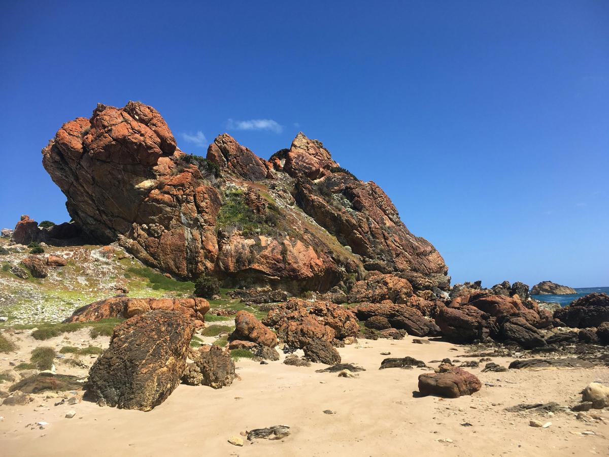 Tarkine and the West Walking Tours