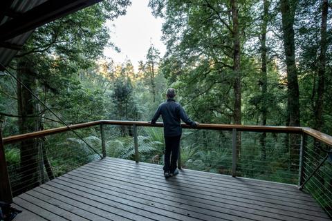 Tarkine Rainforest Experience