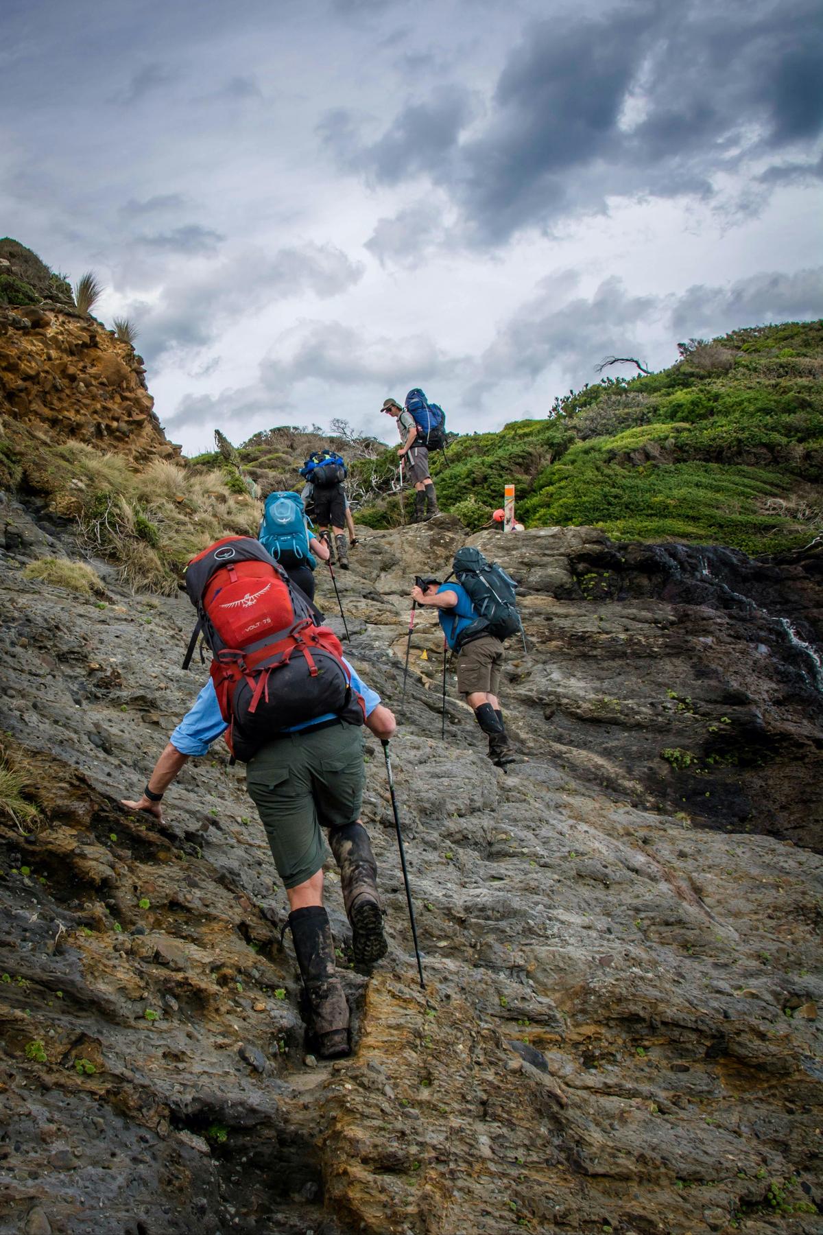 South Coast Track Walking Tour