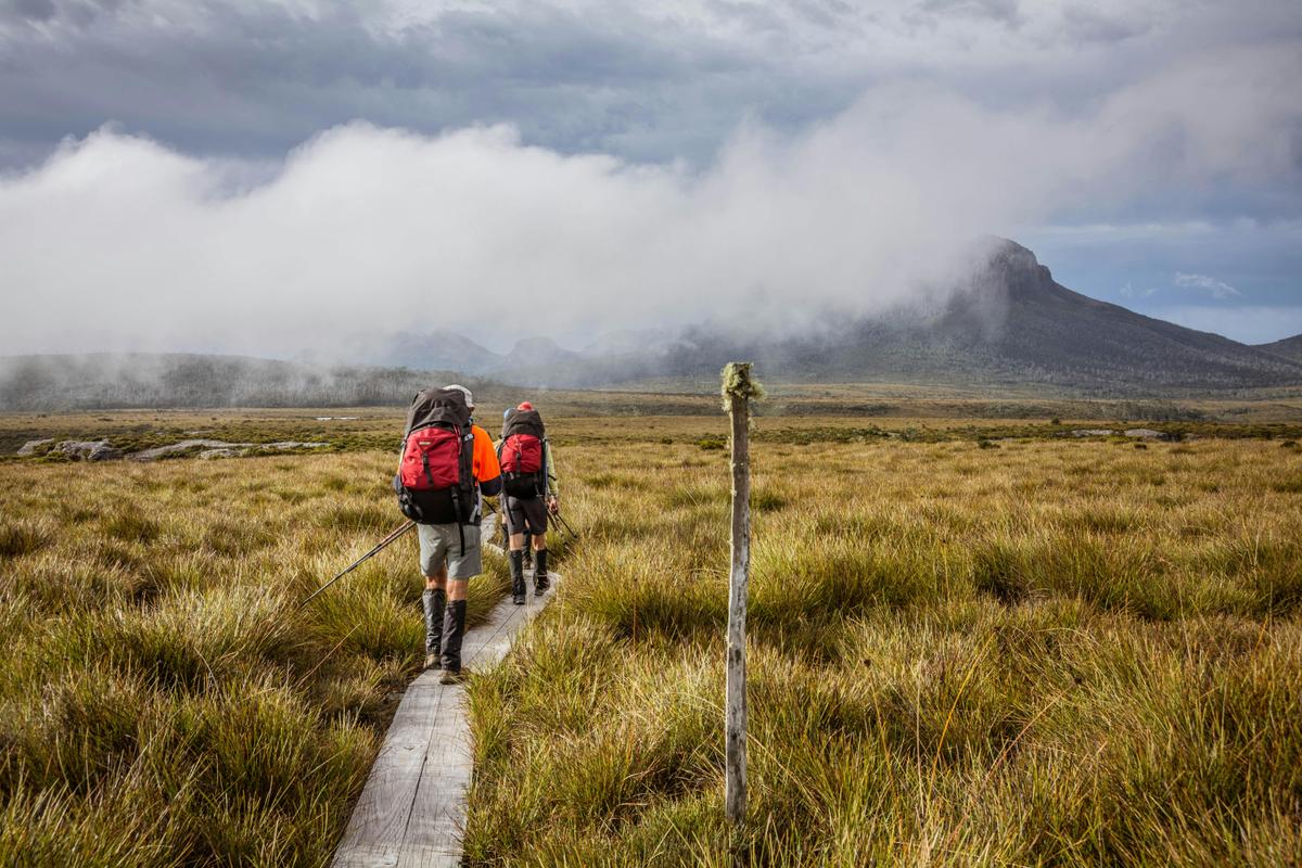 Overland Track Walking Tours