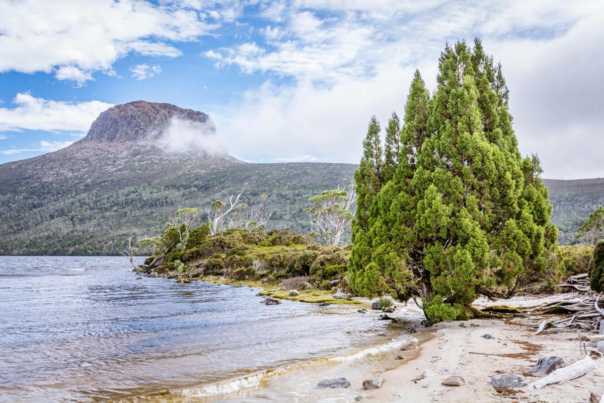 Overland Track Walking Tours