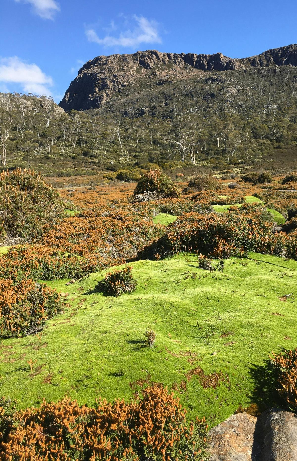 Walls of Jerusalem Expedition Trek