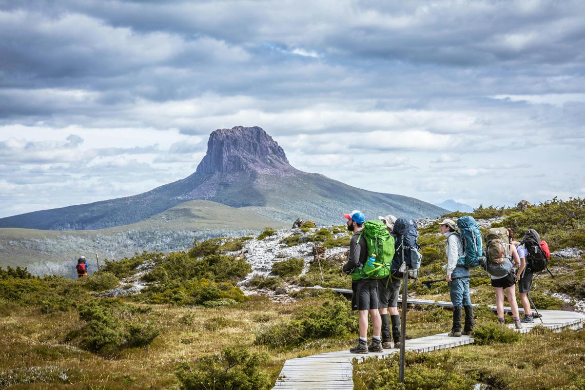 Overland Track Walking Tours