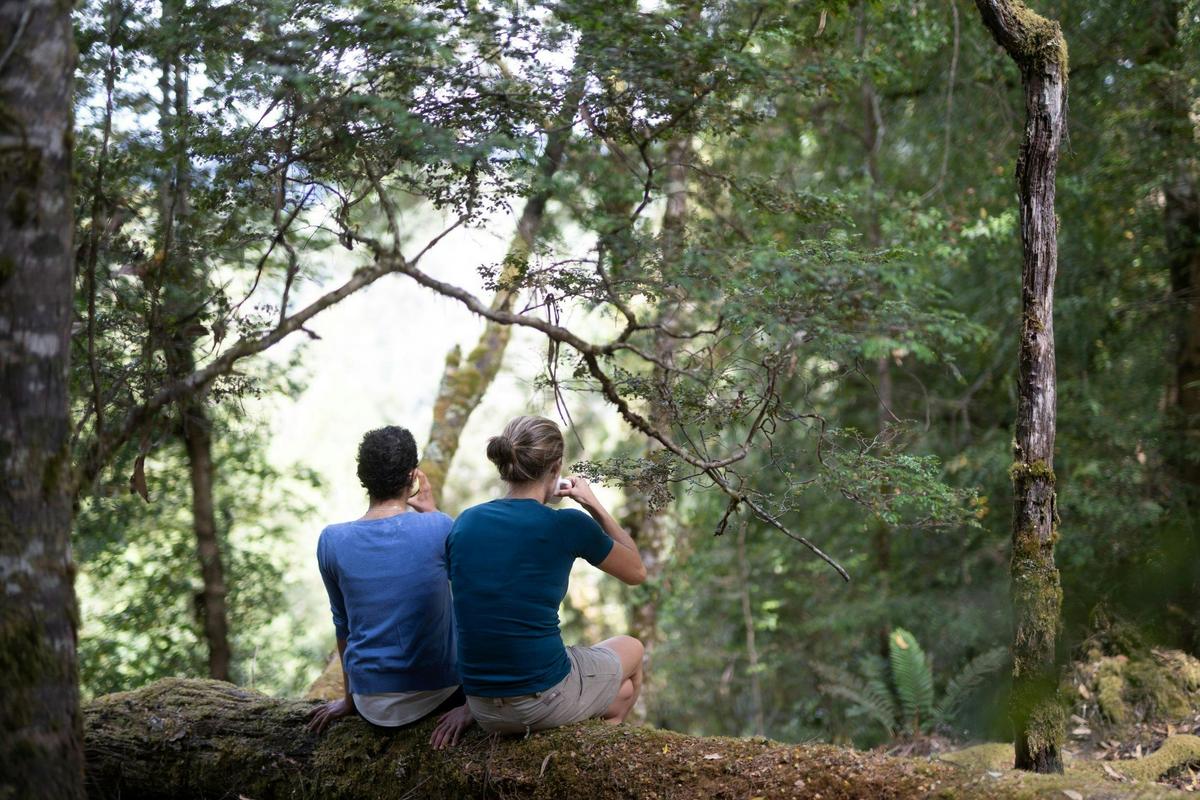 Tarkine Rainforest Experience