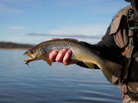 Three Day Fly Fishing Tour In Tasmania