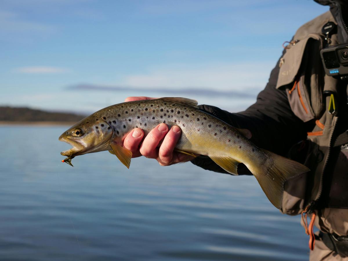 Three Day Fly Fishing Tour In Tasmania
