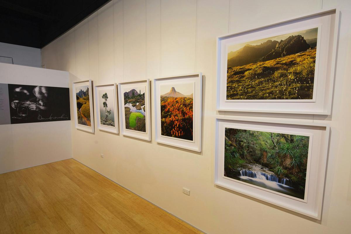 The photographs of Peter Dombrovskis, at Wild Island